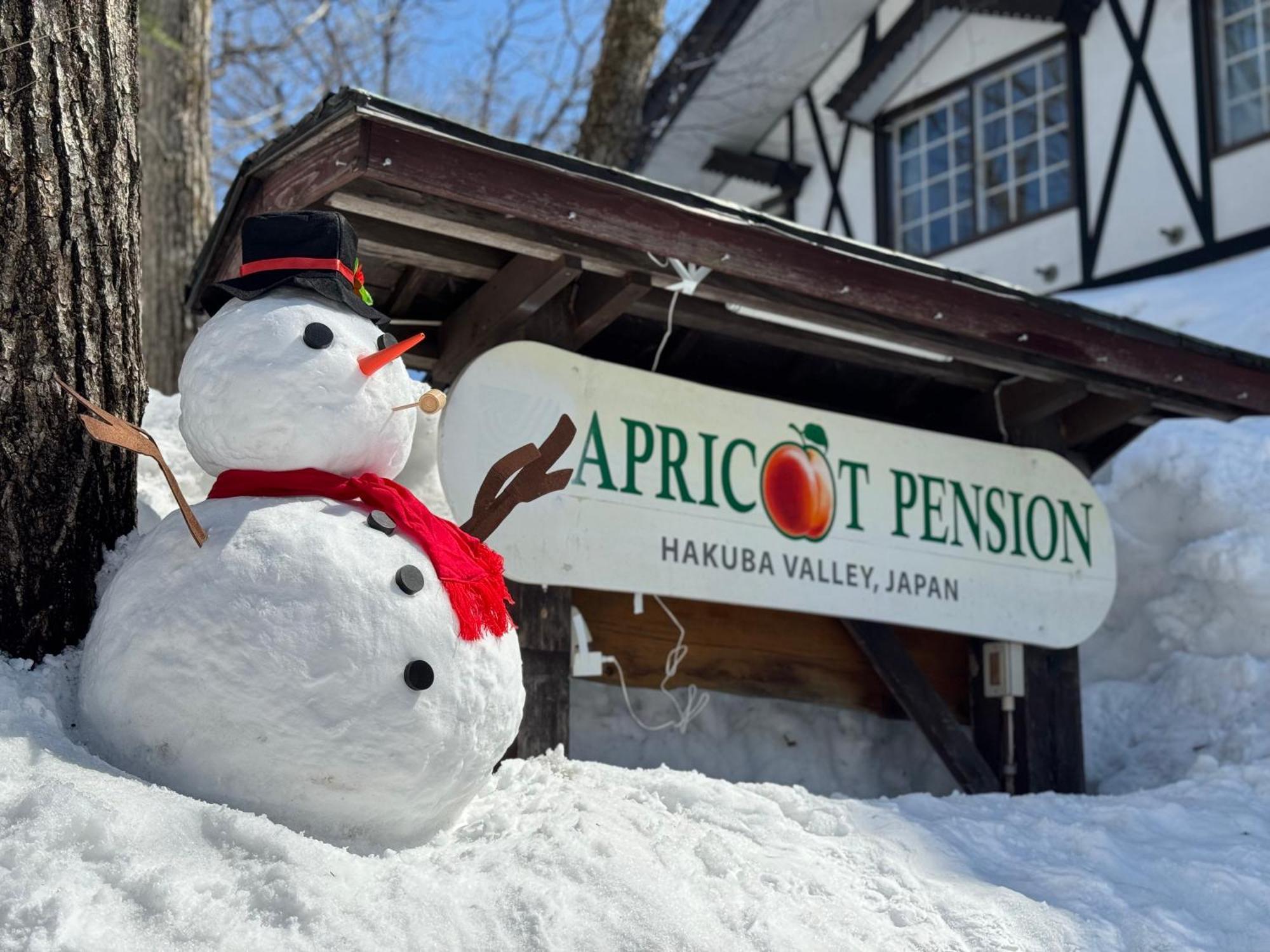 Apricot Pension Hakuba Ngoại thất bức ảnh