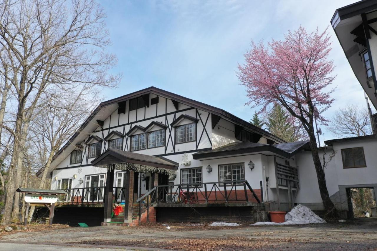 Apricot Pension Hakuba Ngoại thất bức ảnh