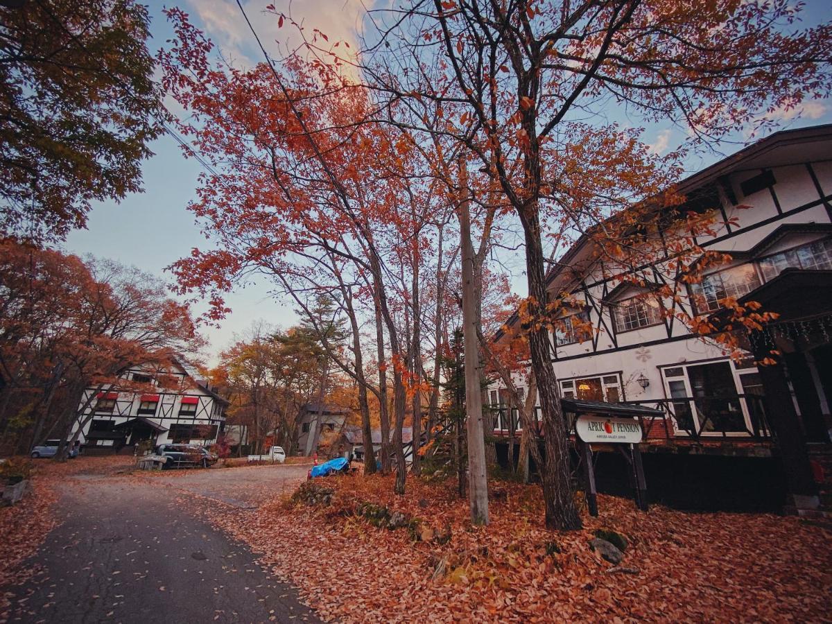 Apricot Pension Hakuba Ngoại thất bức ảnh